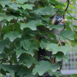 zoom_gelsenkirchen_2011-09-10_61