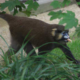 zoom_gelsenkirchen_2011-09-10_57