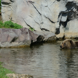 zoom_gelsenkirchen_2011-09-10_15
