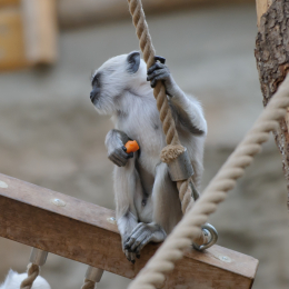 zoom_gelsenkirchen_2011-09-10_73