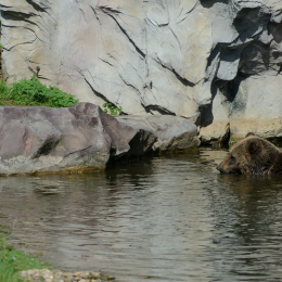 zoom_gelsenkirchen_2011-09-10_13